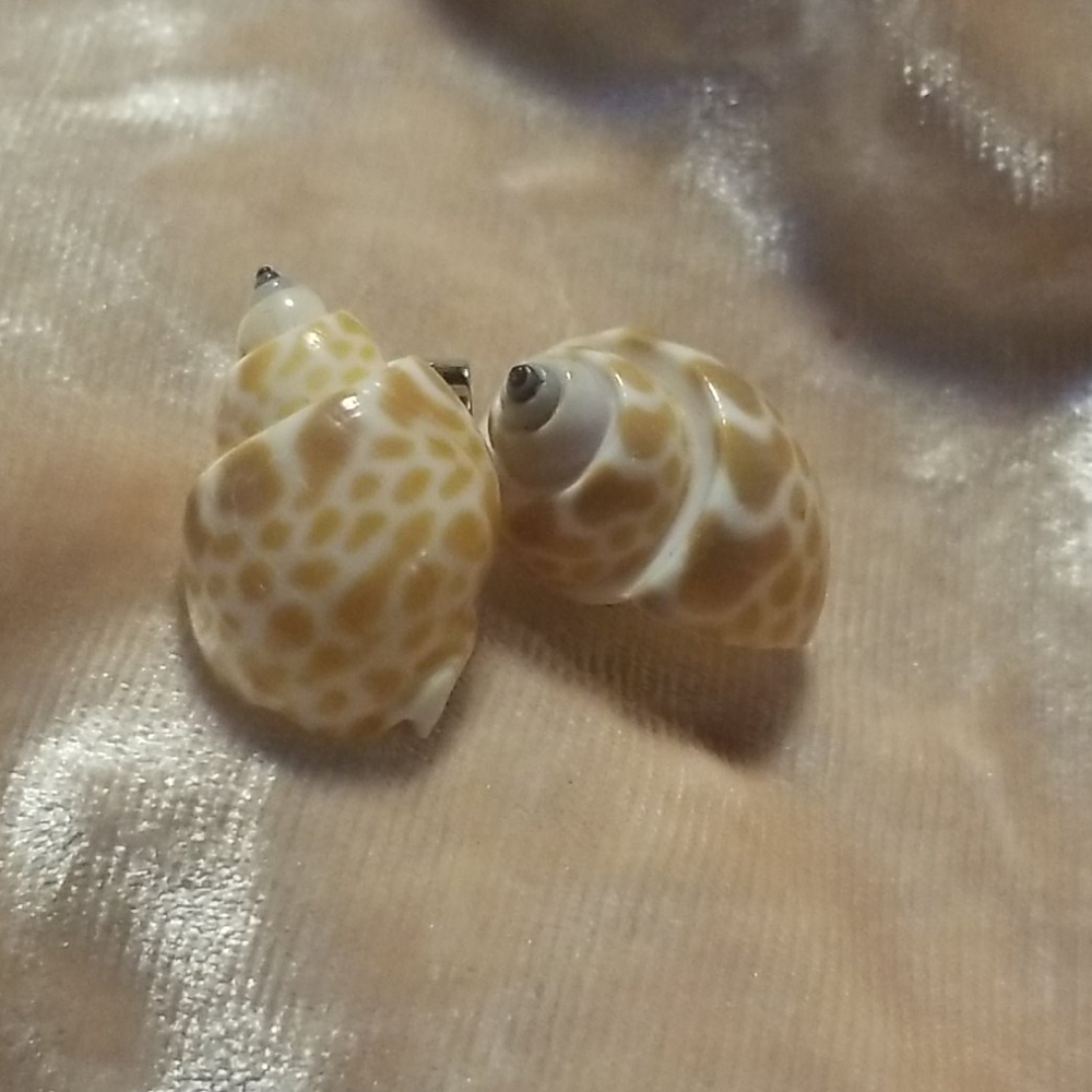 Shell earrings